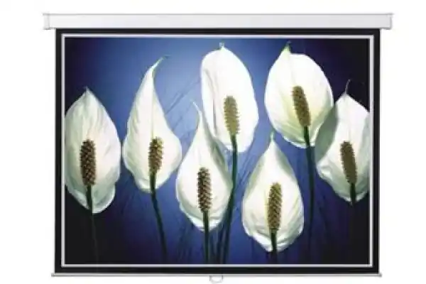 Pantalla 4 3 Manual NEOKO 75" PMN75 Descuento
