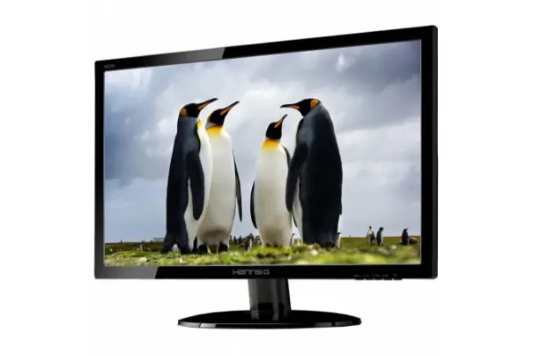 Monitor HANNSPREE HE225DPB - LED - 21.5" - 1920 x 1080 - DVI - VGA - Multimedia Rebajas