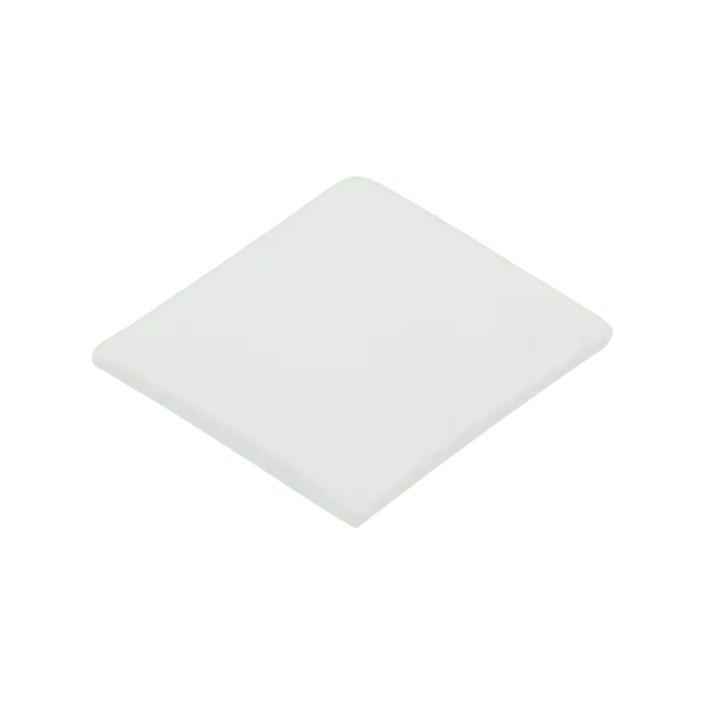FILTRO ESPONJA CONGA POWERBAG 2500 COMPACT PLUS Precio Rebajado
