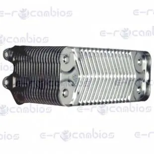 Solo Hoy VAILLANT 359.60.0012